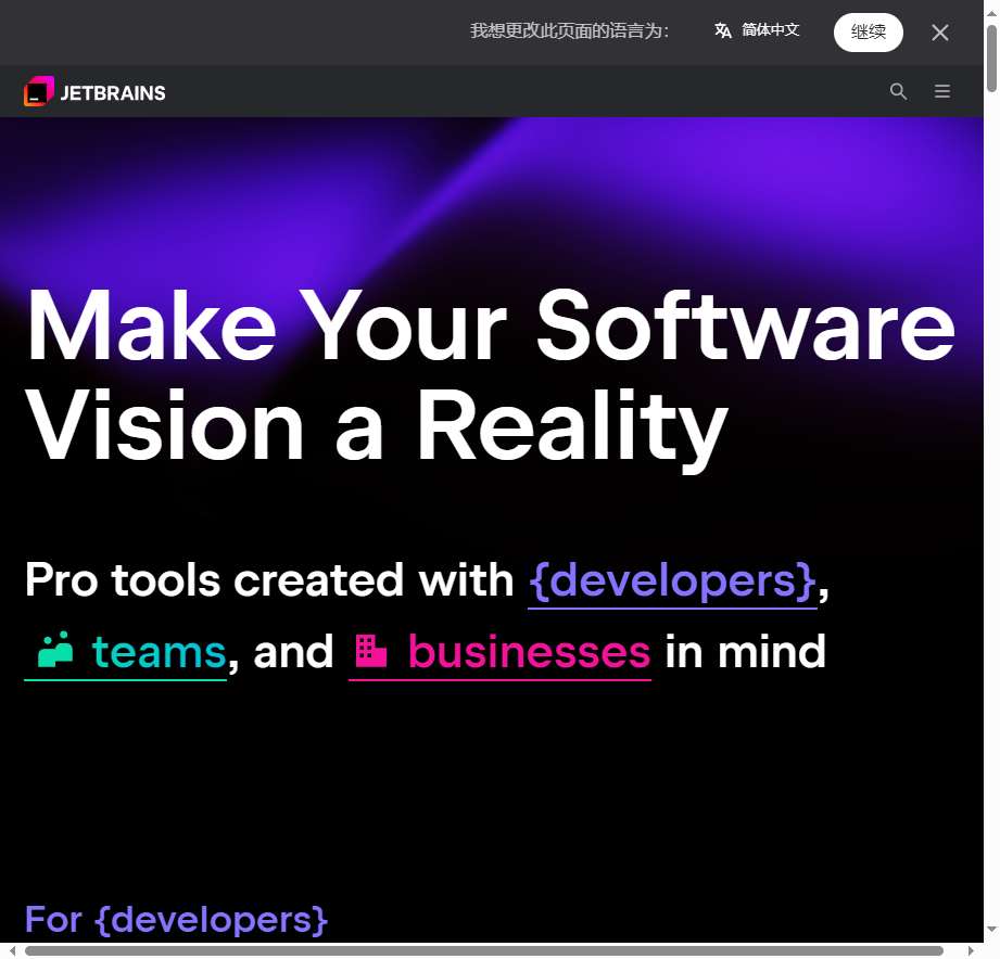 JetBrains AI