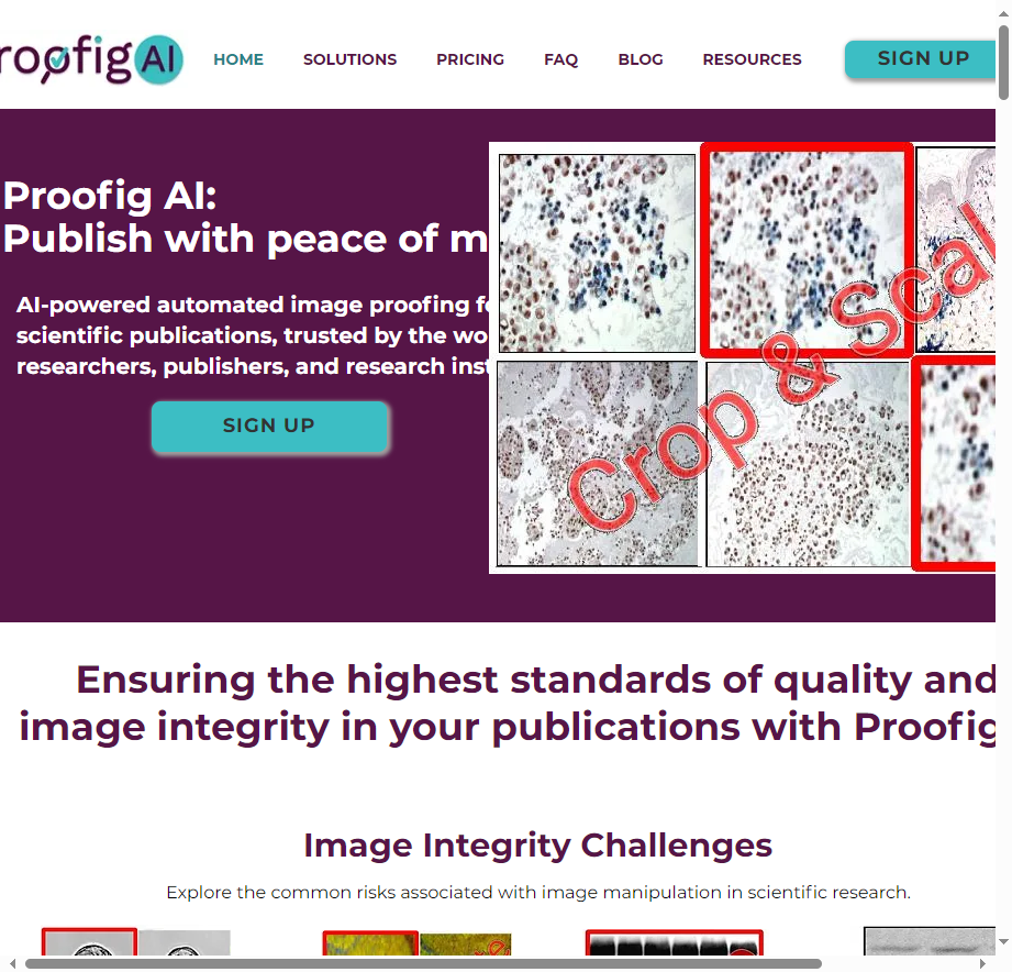 Proofig